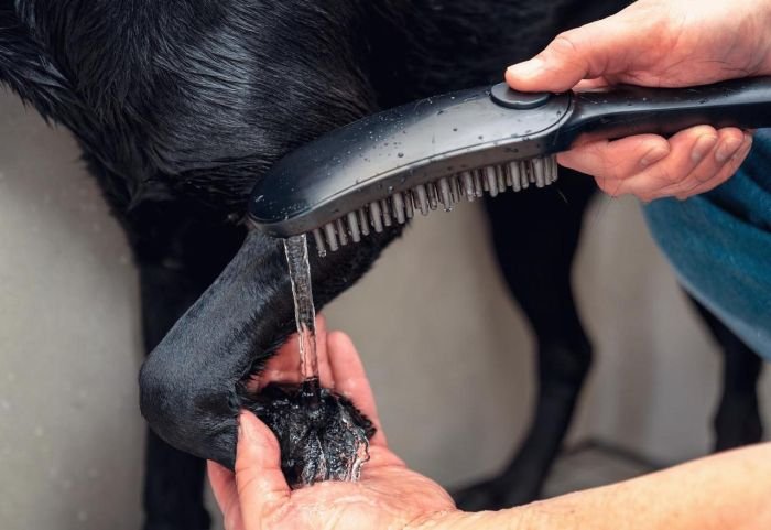 Ручной душ Hansgrohe DogShower 150 3Jet Black, черный (26640670)