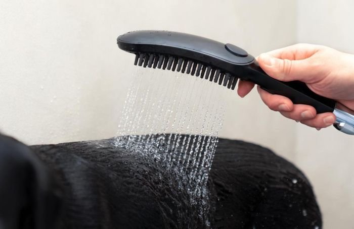 Ручной душ Hansgrohe DogShower 150 3Jet Black, черный (26640670)