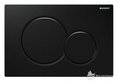 115.770.DW.5 Смывная клавиша Sigma01 для двойного смыва, цвет - черный RAL 9005